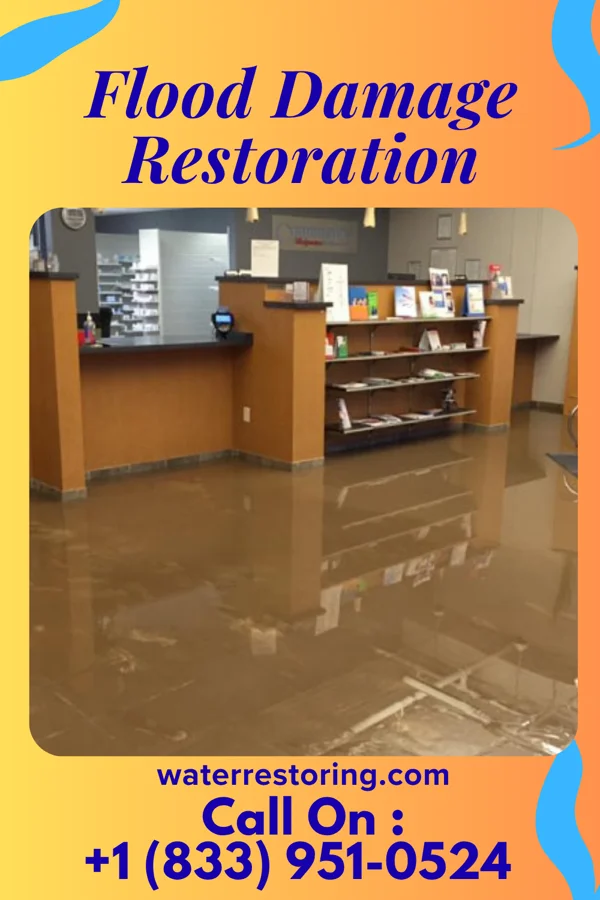 Flood Damage Restoration in Round Rock, TX