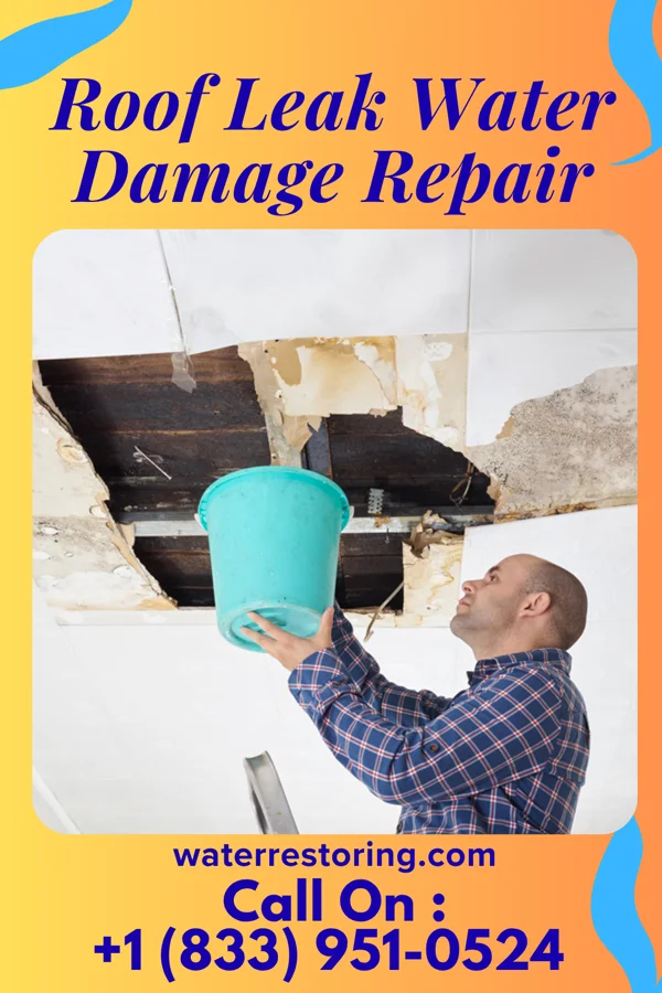 Roof Leak Water Damage Repair in Round Rock, TX